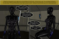 Haywire008