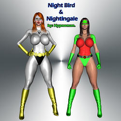 Night Bird and Nightingale